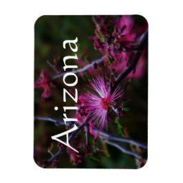 Magnet für rosa Märchenduster, Arizona Magnet