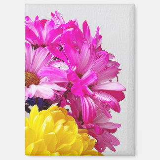 Magnet für Rosa und Gelbe Blumen - Die Abs von Mar