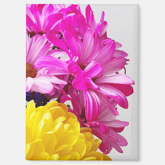 Magnet für Rosa und Gelbe Blumen - Die Abs von Mar