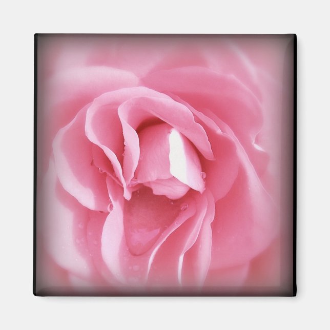 Magnet für Rose mit Netzanschluss (Vorne)