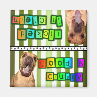 Magnet für saubere oder schmutzige Geschirr