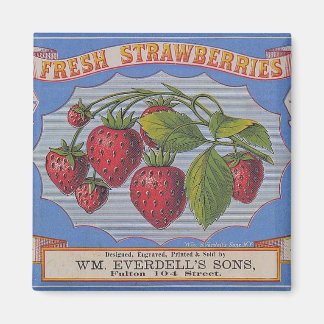 Magnet für Vintage Erdbeeren
