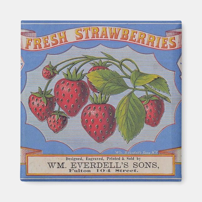 Magnet für Vintage Erdbeeren (Vorne)