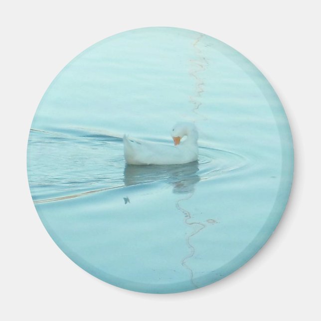 Magnet für Weißente (Vorne)