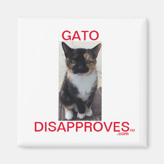 Magnet, Gato missbilligt, alle Karten Magnet