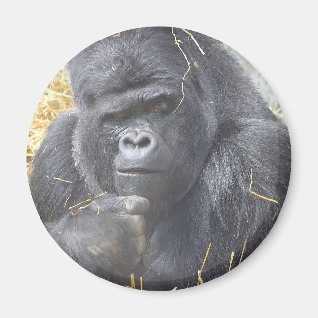 Magnet Gorilla réfléchi (Devant)