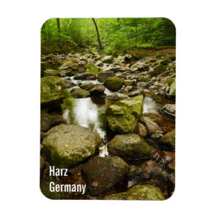 Magnet Harz