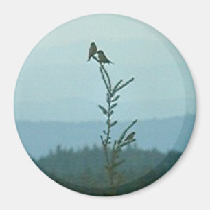 Magnet - Haut du monde