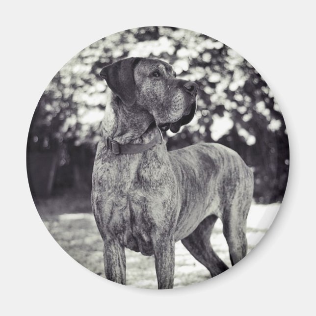 Magnet Helia (Vorne)