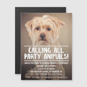   MAGNET   Hund erfüllt Puppy - Party Einladung