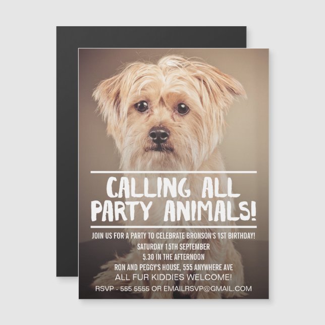 | MAGNET | Hund erfüllt Puppy - Party Einladung (Vorne/Hinten)