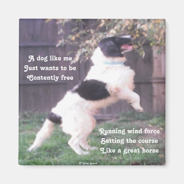 Magnet Hund Pferdegedicht von Ladee Basset (Vorne)