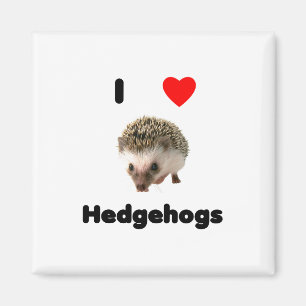 Magnet Igel der Liebe I