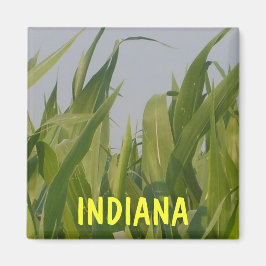 Magnet Indiana