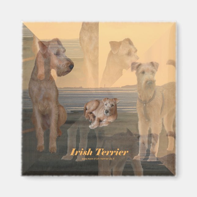 Magnet "Irish Terrier" (Vorne)