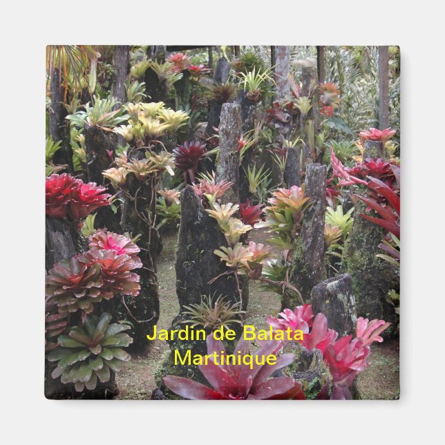 Magnet Jardin de Balata - Martinique (Vorne)