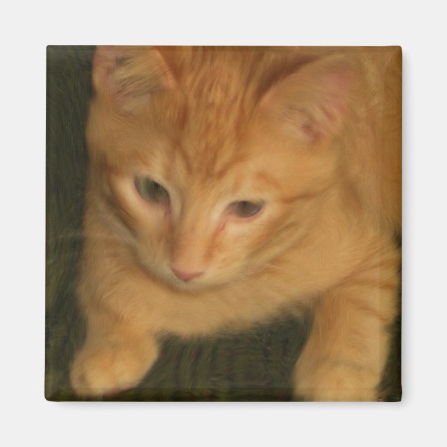 Magnet Kitty (Devant)