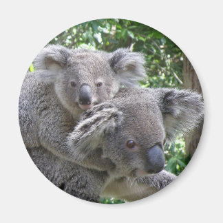 Magnet Koala und Baby Australia Foto