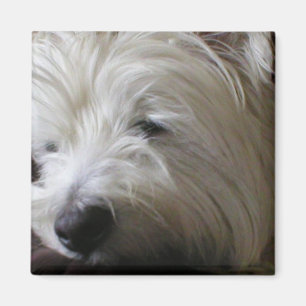 Magnet KRW Westie