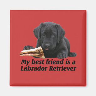 Magnet "Labrador retriever "