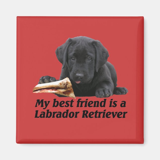 Magnet "Labrador Retriever" (Vorne)
