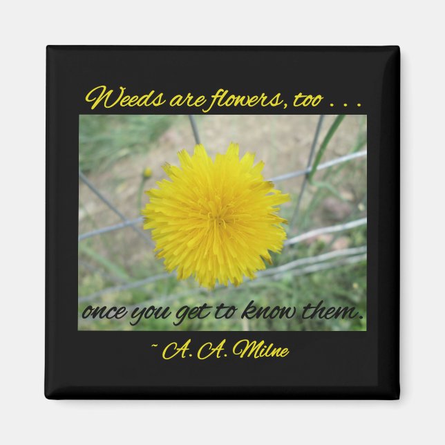 Magnet - Les mauvaises herbes sont des fleurs (Devant)