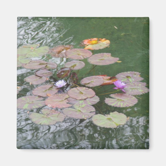 Magnet - Lily Pad (Vorne)