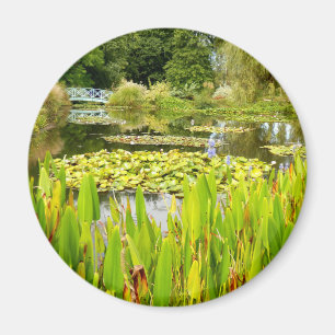 Magnet Lily Pond