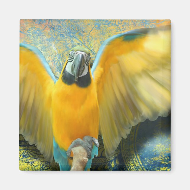 Magnet Macaw (Devant)