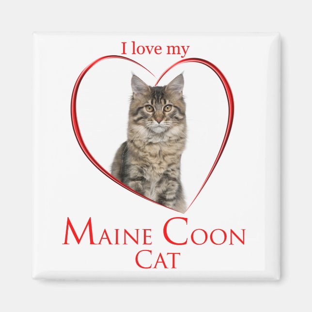 Magnet Maine Coon (Devant)