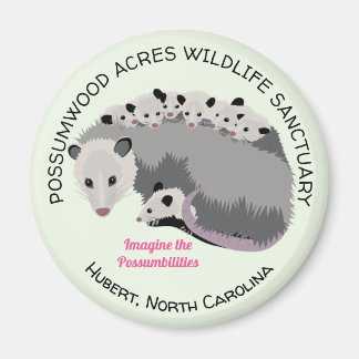 Magnet Mama Opossum