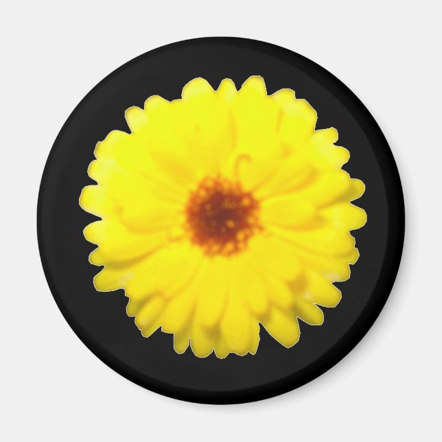 Magnet Marigold fluorescent (Devant)