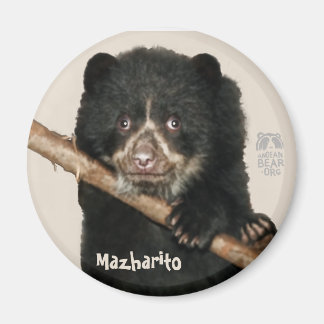 Magnet Mazharito