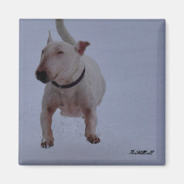 Magnet mit Bullenterre im Schnee