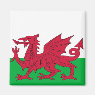 Magnet mit Flagge von Wales