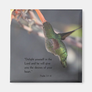 Magnet mit Kolibri - Freude am Herrn
