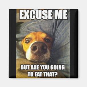 MAGNET MIT REDEWENDUNGEN