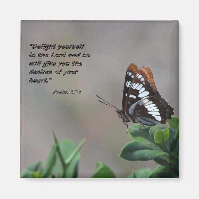 Magnet mit Schmetterling - Vergnügen Sie sich in L (Vorne)
