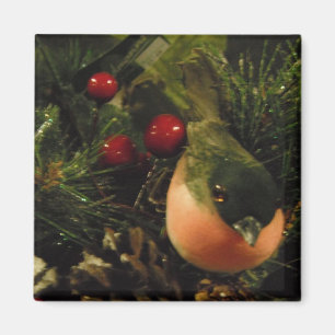 Magnet mit Vogel