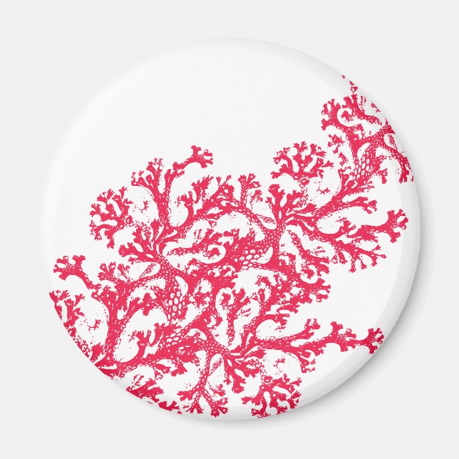 Magnet Motif Coral (Devant)
