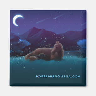 Magnet nocturne de Horse Phenomena