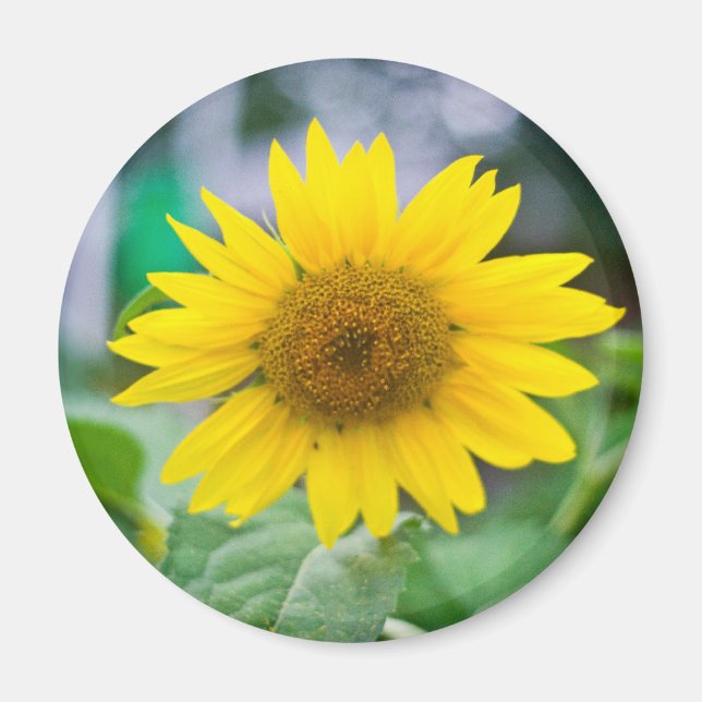 Magnet ohne Titel (Vorne)