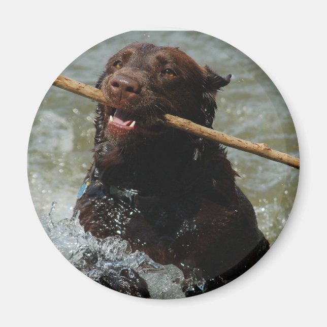 Magnet ohne Titel (Vorne)