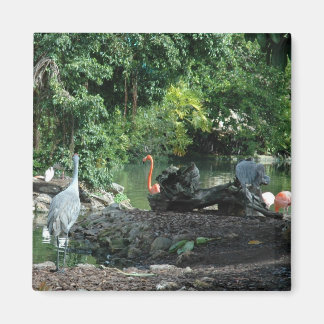 Magnet Orlando Florida