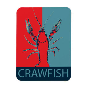 Magnet Panzerkrebse B. Crawfish Foto