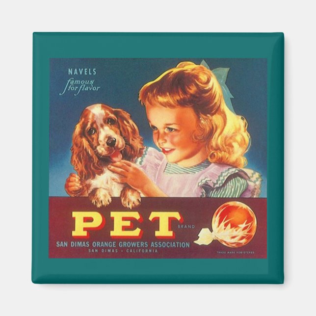 MAGNET ~ PET ORANGES - COCKER SPANIEL OBST ETIKETT (Vorne)