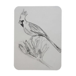 Magnet photo cardinal flexible