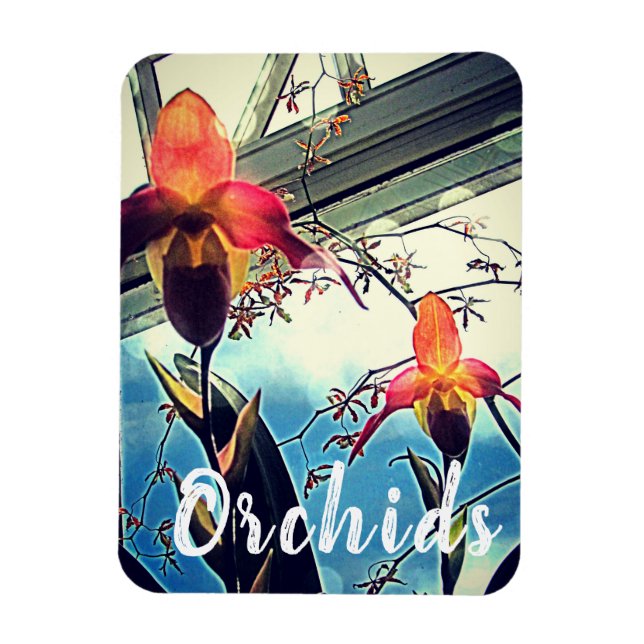 Magnet photo d'orchidées éclairées (Vertical)