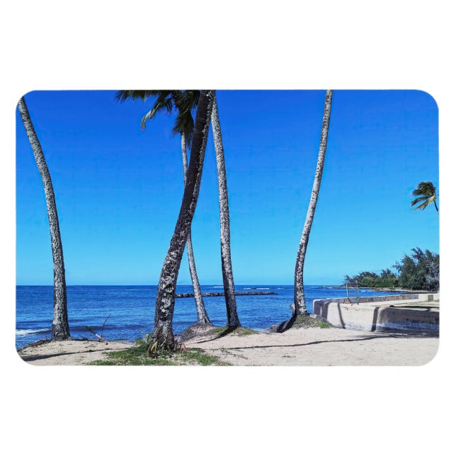 Magnet photo Hawaiian Coastal View (Horizontal)