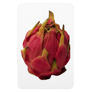 Magnet photo Pitaya